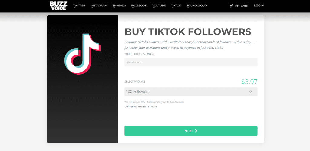 BuzzVoice - Buy TikTok Followers